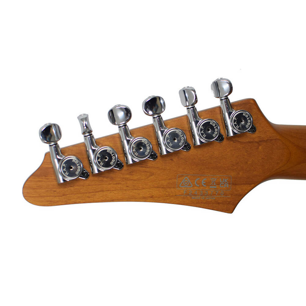 Andy Timmons Ibanez ATZ300-BK Bild 06