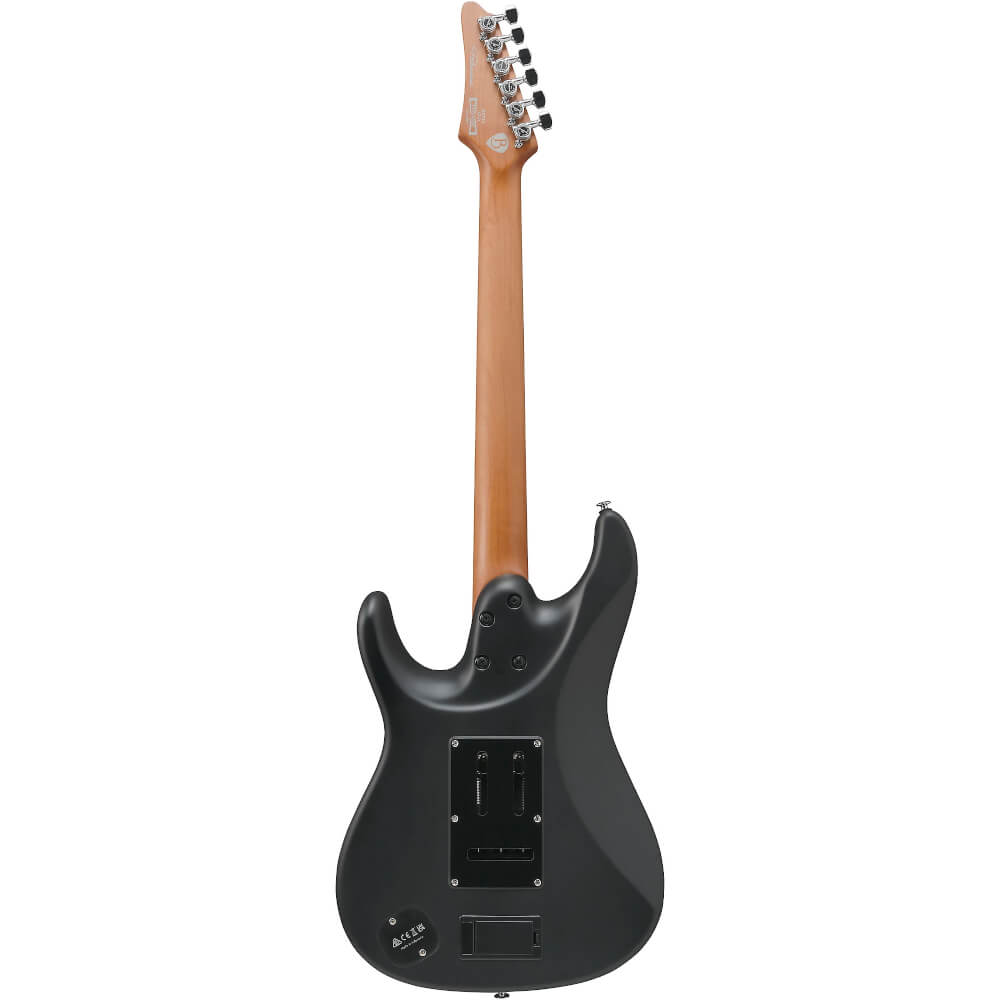 Bernd Bernth Brodträger Ibanez BER10 Signature Bild 02