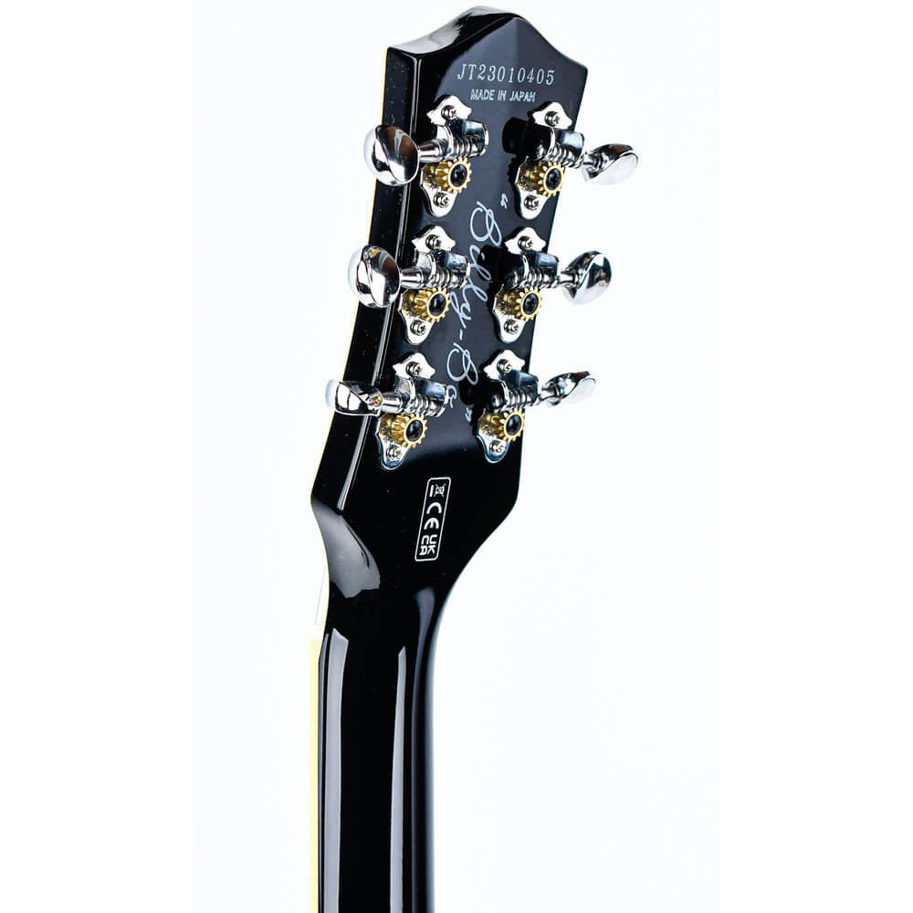 Billy Gibbons Gretsch Billy-Bo Jupiter Thunderbird Bild 06