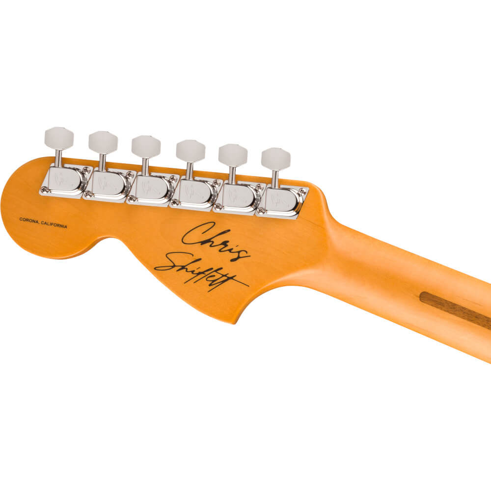 Chris Shiflett Fender Tele Dlx DKR Bild 06