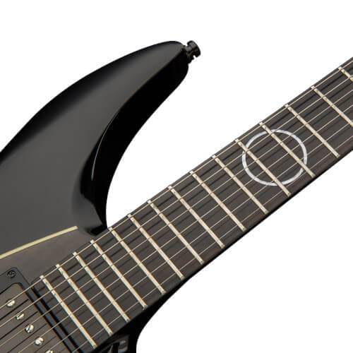 Devin Townsend: Framus - Stormbender Bild 05