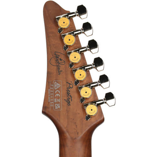 Thumbnail Lari Basilio Ibanez LB1-VL Bild 06