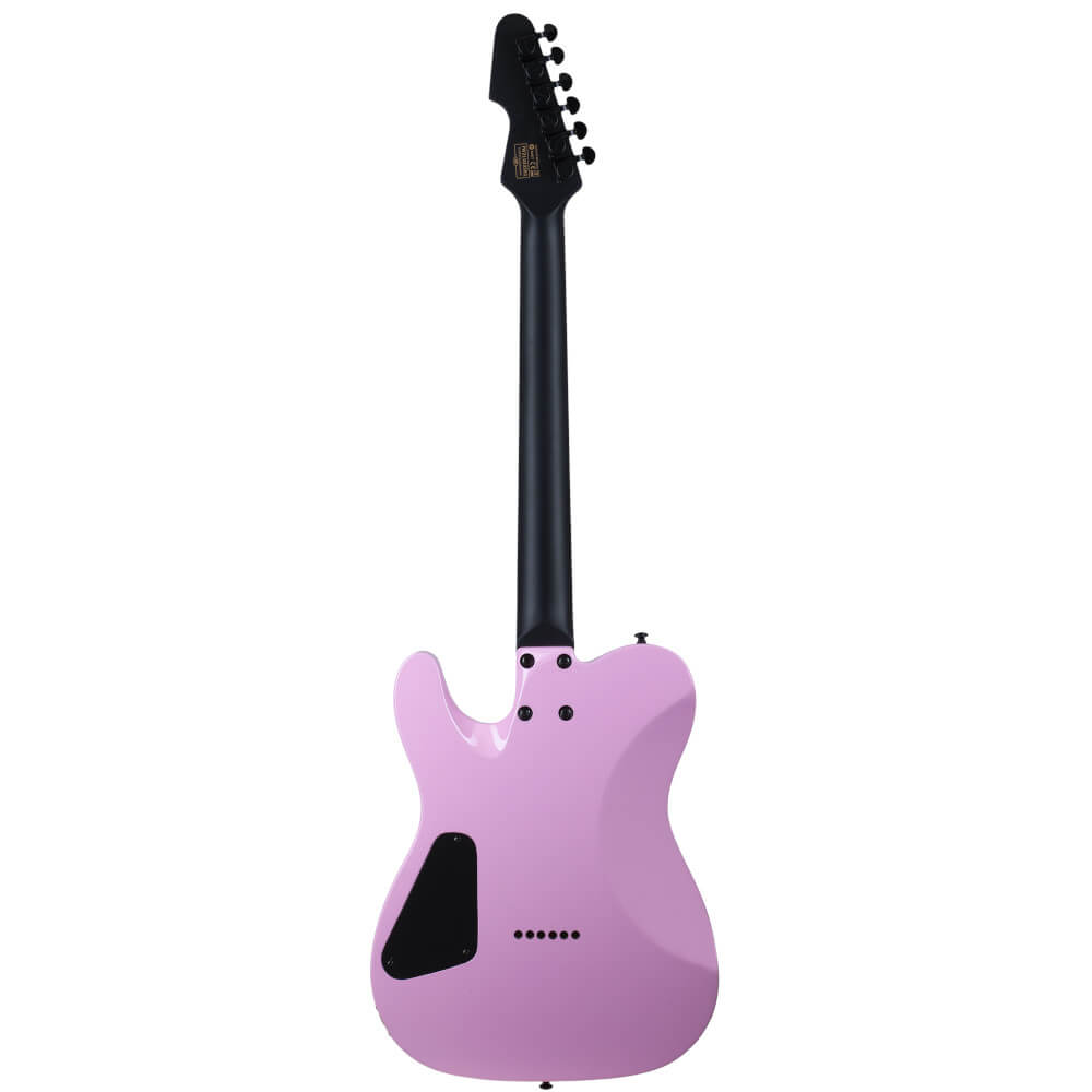 Machine Gun Kelly Schecter Signature PT Bild 02