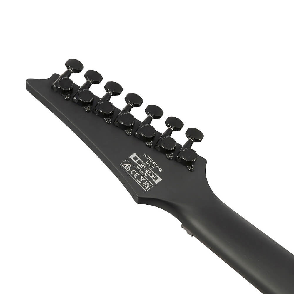 Munky Ibanez K7YIN Bild 06