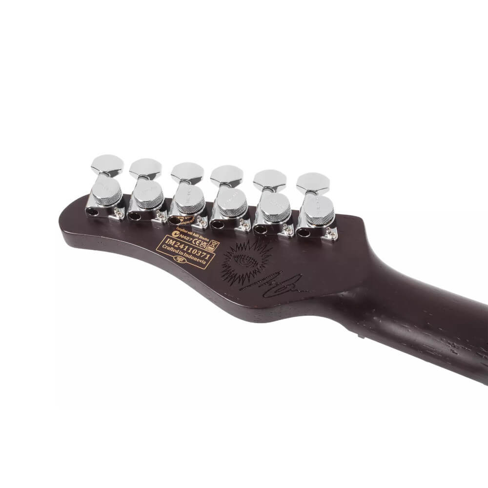 Nick Johnston Schecter 10th An HSS AG Bild 06