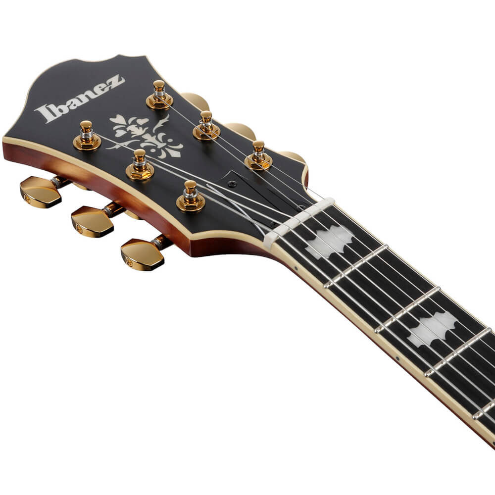 Pat Metheny Ibanez PM3C-NAL Bild 05