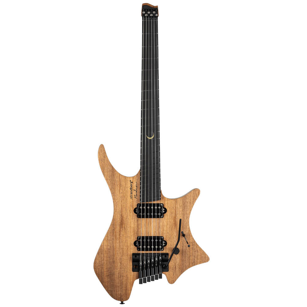 Plini Strandberg Boden Prog NX 6 Bild 01