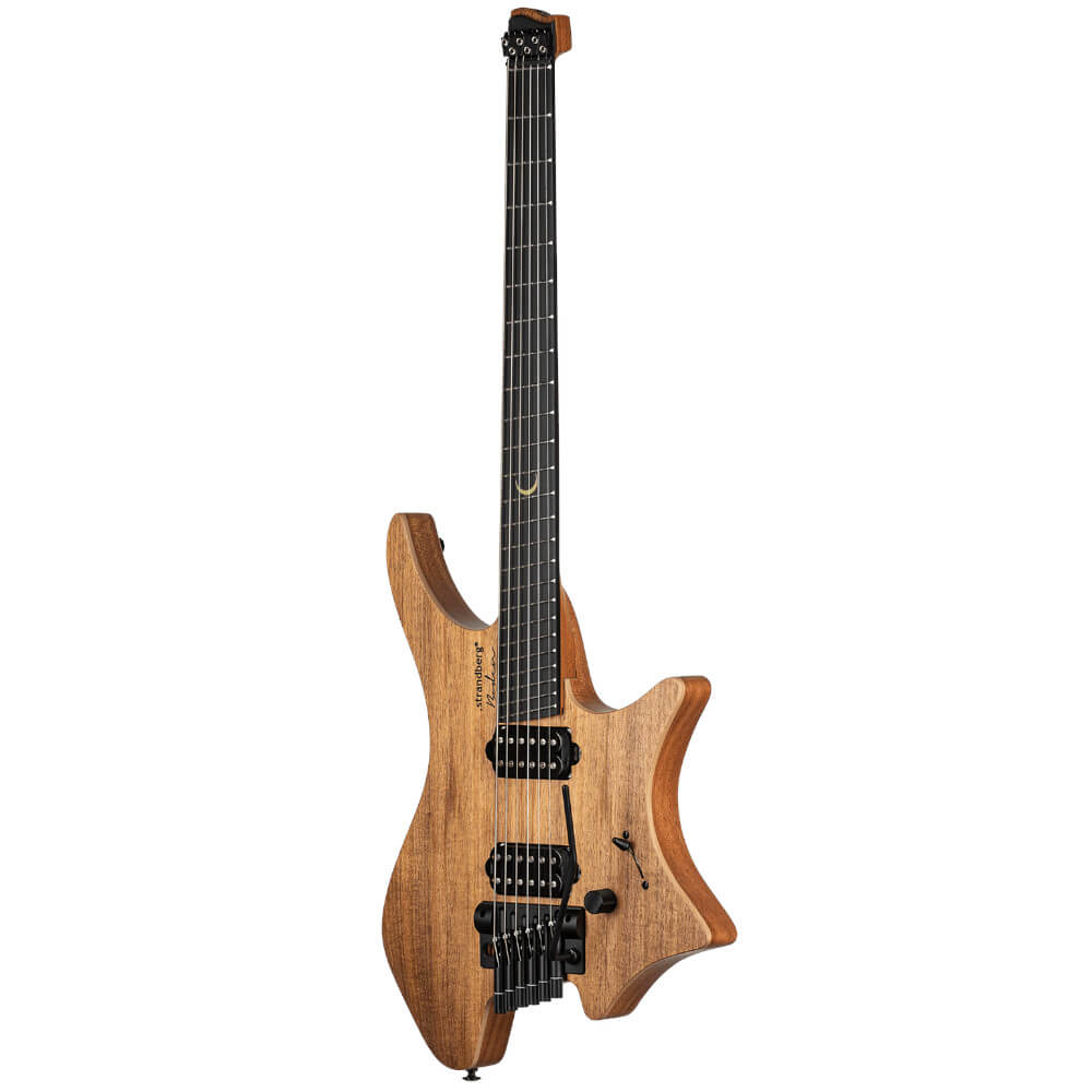 Plini Strandberg Boden Prog NX 6 Bild 04