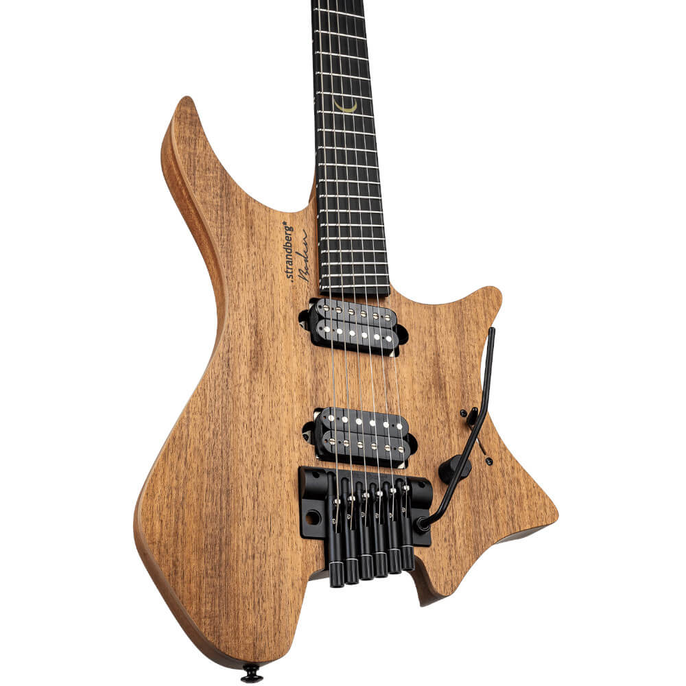 Plini Strandberg Boden Prog NX 6 Bild 05
