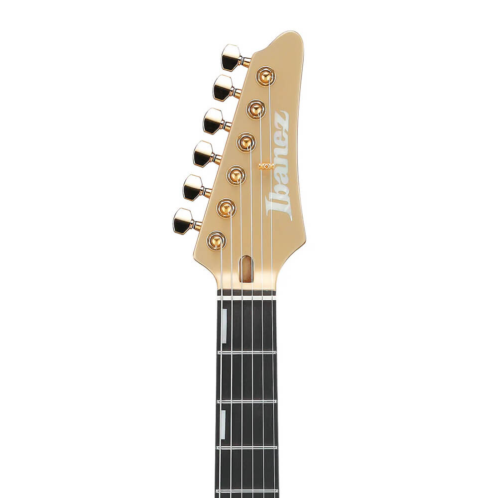 Scott LePage Ibanez KRYS10 Bild 05