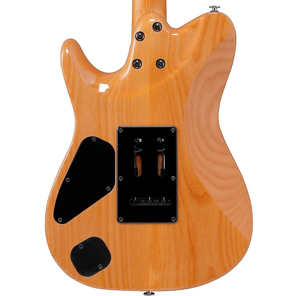 Tom Quayle Ibanez TQMS1-CTB Bild 04