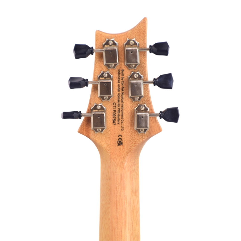 Zach Myers PRS SE MB Bild 06